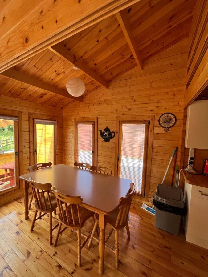 Red Robin Nest Apartment Galway Luaran gambar