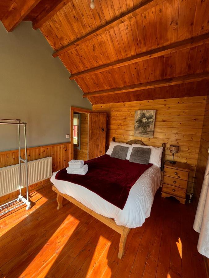 Red Robin Nest Apartment Galway Luaran gambar