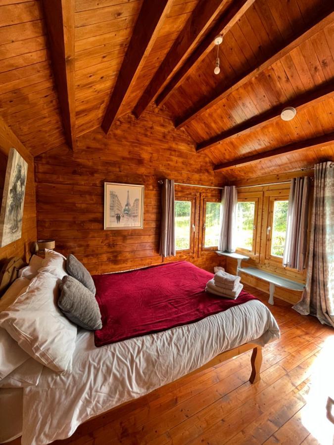 Red Robin Nest Apartment Galway Luaran gambar