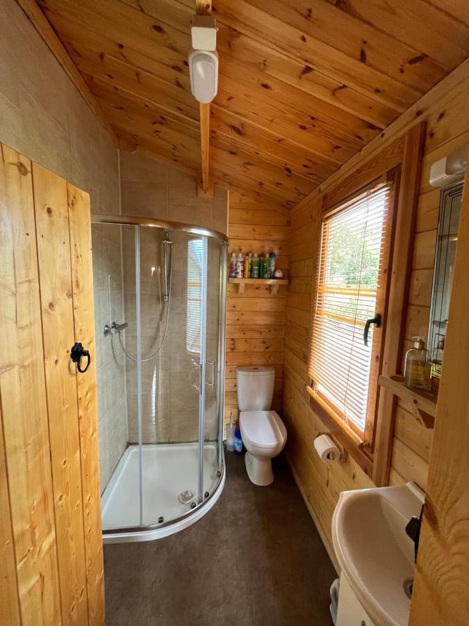 Red Robin Nest Apartment Galway Luaran gambar