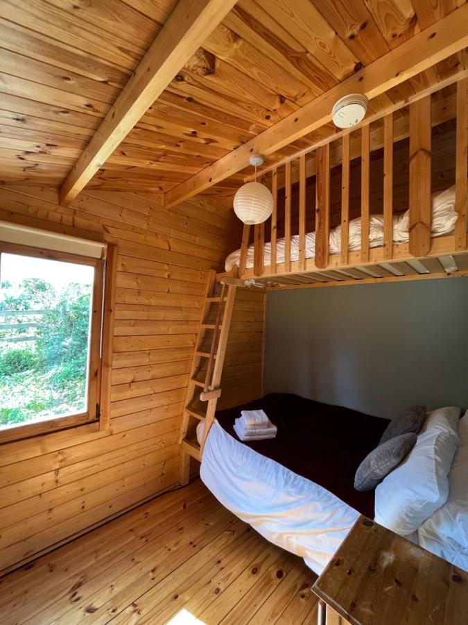 Red Robin Nest Apartment Galway Luaran gambar
