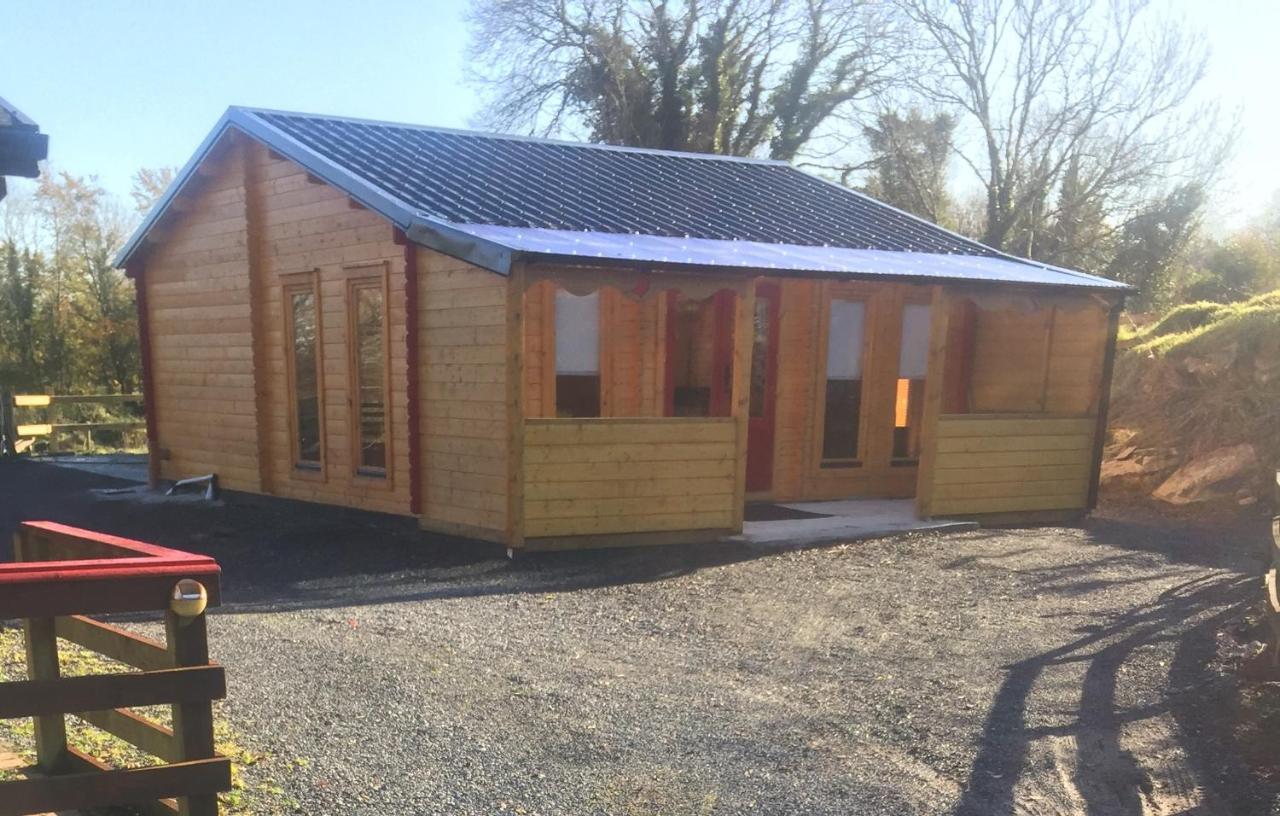 Red Robin Nest Apartment Galway Luaran gambar